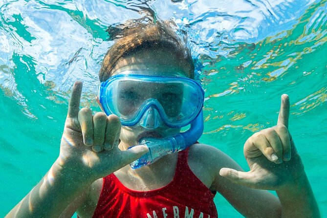 Turtle Canyon Waikiki Snorkel Adventure - Snorkeling alongside scuba guests