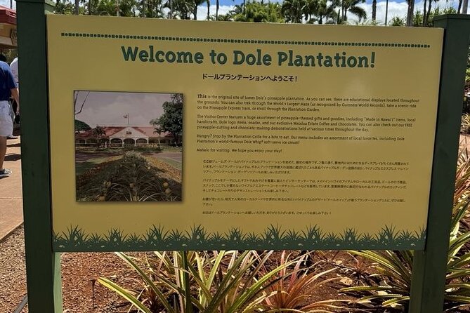Turtle Snorkeling and Dole Plantation Guided Tour In Oahu - What the guides and crew add