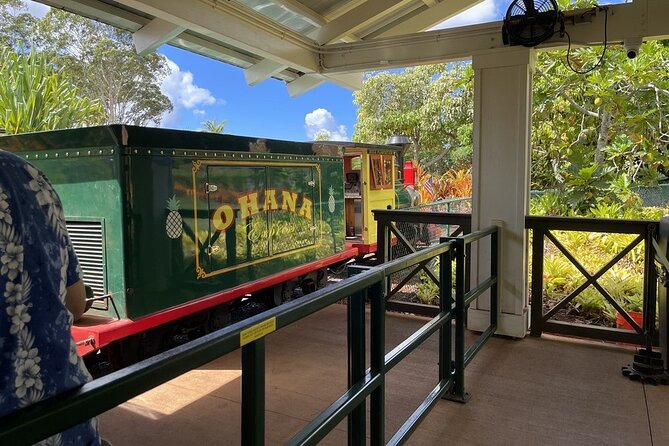 Turtle Snorkeling and Dole Plantation Guided Tour In Oahu - Who will enjoy this Oahu combination tour?