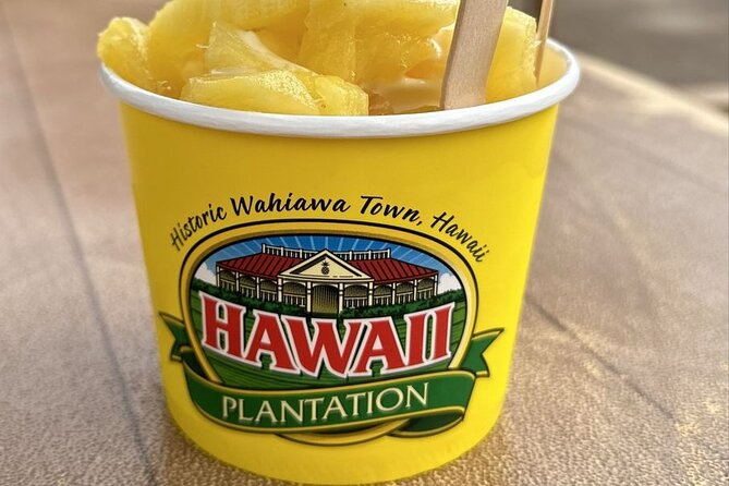 Turtle Snorkeling and Dole Plantation Guided Tour In Oahu - Booking, weather, and cancellation details