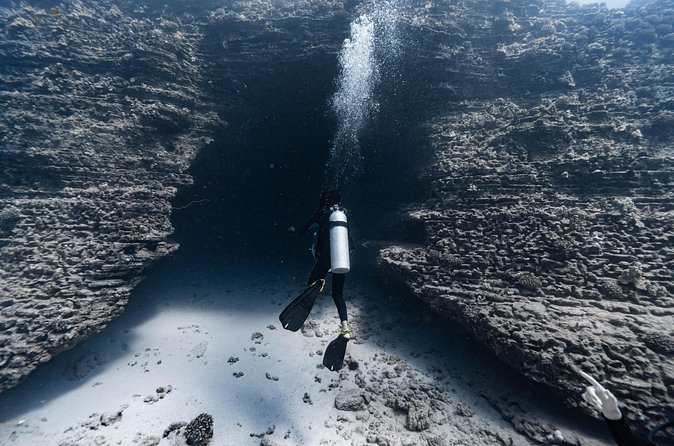 Two Tank Wreck and Drift Dive in Oahu - Who will get the most from this trip