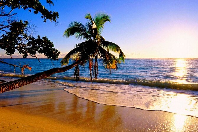 Ultimate North Shore Adventure: Full-Day Hawaiian Experience - Kawela Bay: one hour with sand, water, and turtles