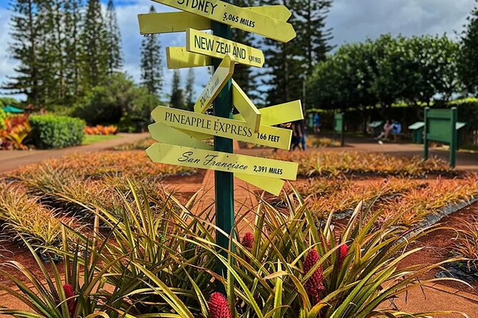 Ultimate North Shore Adventure: Full-Day Hawaiian Experience - North Shore Farm: two hours for food, animals, and water activities