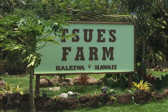 Ultimate North Shore Adventure: Full-Day Hawaiian Experience - Green World Coffee Farms: a gentle start at 8 a.m.