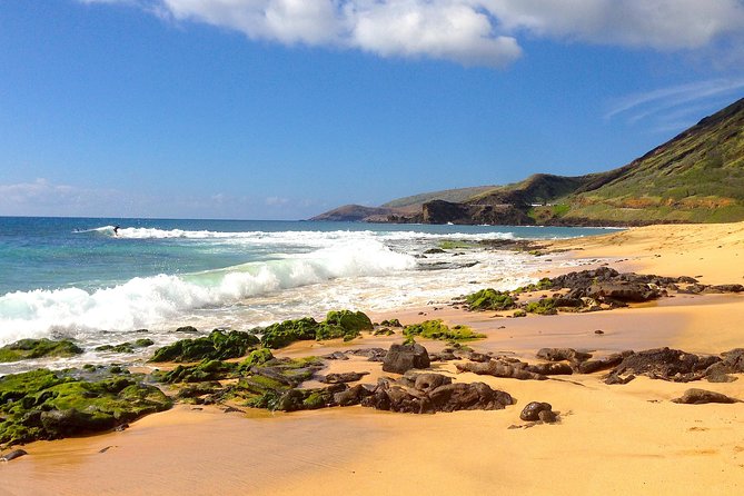 Uniquely Personalized Private Island Tour on Oahu, Hawaii - Bishop Museum for a fuller cultural picture
