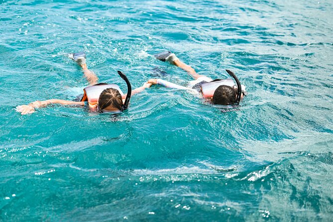 Venture Wildlife Snorkel Charter from Ko Olina - Two hours of whale watching on the VENTURE