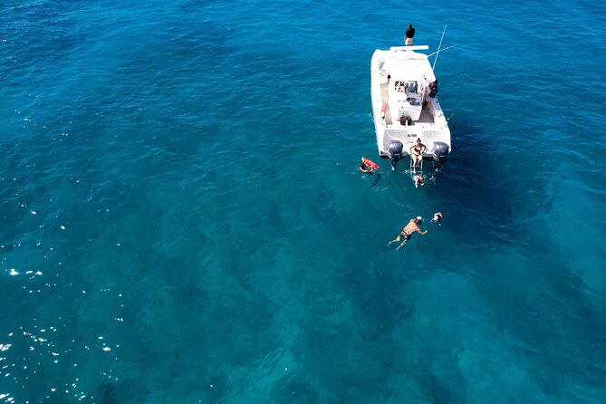 Venture Wildlife Snorkel Charter from Ko Olina - Who will enjoy this Ko Olina boat trip?