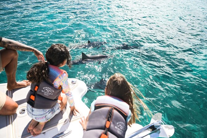 Venture Wildlife Snorkel Charter from Ko Olina - Should you book the VENTURE?