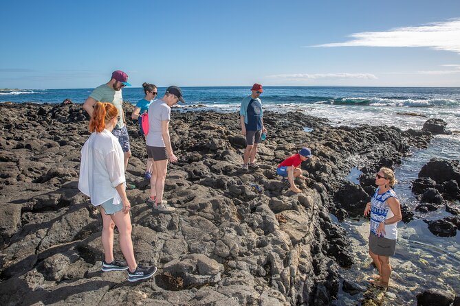 VIP Aloha Style Private Island Tour - Makapuʻu Point and the Windward Coast