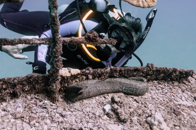 Waikiki 2 Tank World Class Wreck SCUBA Diving - Certified Only - The timing is strict for a reason
