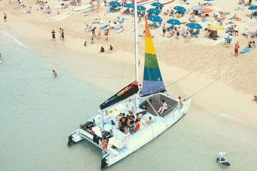 Waikiki Beach: Turtle Snorkeling and Sailing on Hāwea - Wildlife viewing with realistic expectations