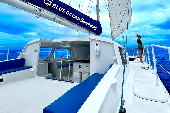Waikiki Catamaran Escape: Snorkel with Turtles & Water Sports Fun - Why this Waikiki catamaran trip works so well