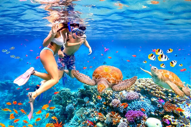 Waikiki Catamaran Escape: Snorkel with Turtles & Water Sports Fun - Leaving Ala Moana with Diamond Head ahead