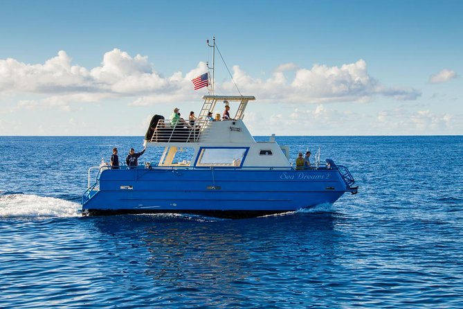 Waikiki Deluxe Catamaran Whale Watch - Shuttle pickup from Waikiki hotels