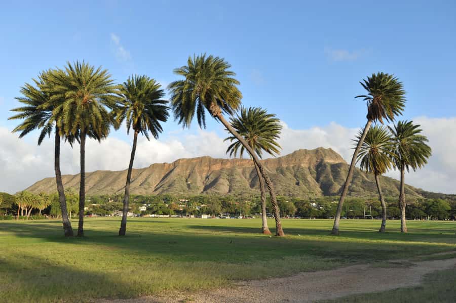 Waikiki: Diamond Head Hiking/ Hiking Starts at 7:00am. - Why Diamond Head works as a morning hike