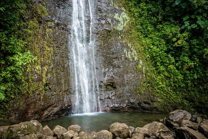 Waikiki Electric Bike Self Guided Tour- Manoa Falls Bike and Hike - Stop 1: University of Hawaii at Manoa Campus