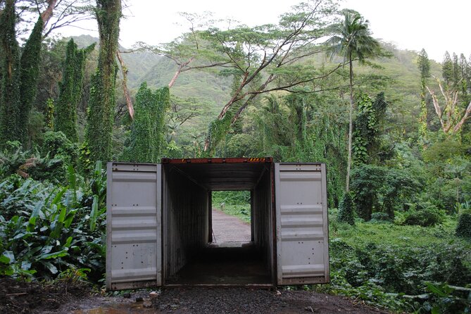 Waikiki Electric Bike Self Guided Tour- Manoa Falls Bike and Hike - Stop 2: The 1.6-mile Manoa Falls Trail