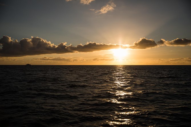Waikiki Fireworks Dinner Cruise: Sail & Sparkle on Friday Nights - Who will get the most from this cruise