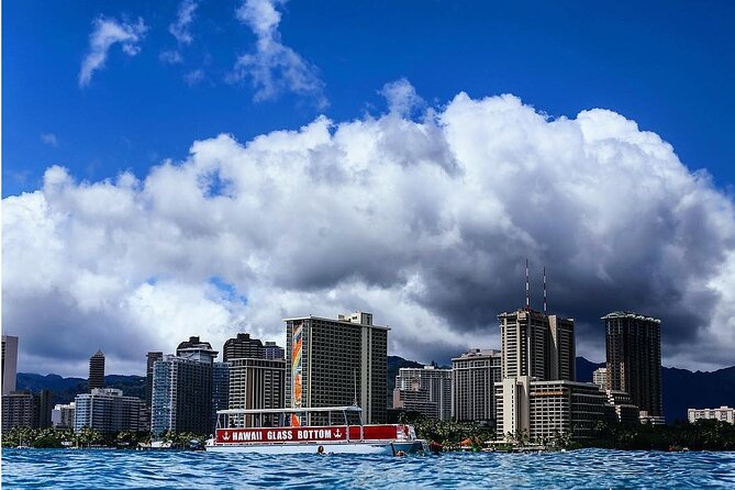 Waikiki Glass Bottom Boat Cruise - What you might see below the surface