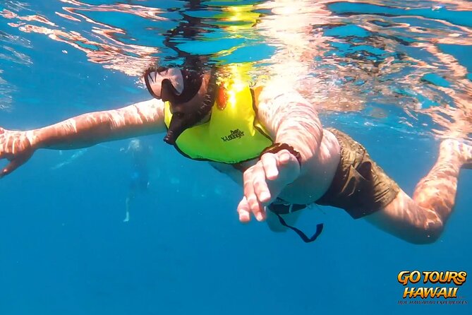 Waikiki Green Sea Turtle Snorkeling Tour - Boat Excursion - What the 90-Minute Water Stop Feels Like