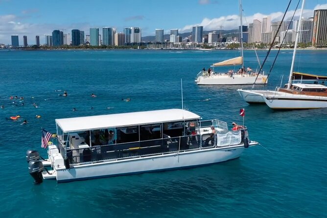 Waikiki Green Sea Turtle Snorkeling Tour - Boat Excursion - My Booking Advice for Go Tours Hawaii