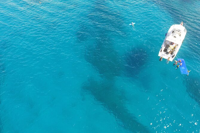 Waikiki, Hawaii: Turtle Canyon Snorkel Excursion - Who will get the most from this trip