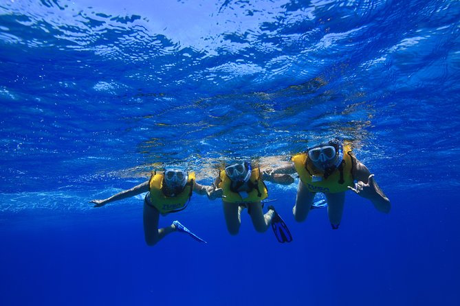 Waikiki, Hawaii: Turtle Canyon Snorkel Excursion - Booking timing, cancellations, and practical planning