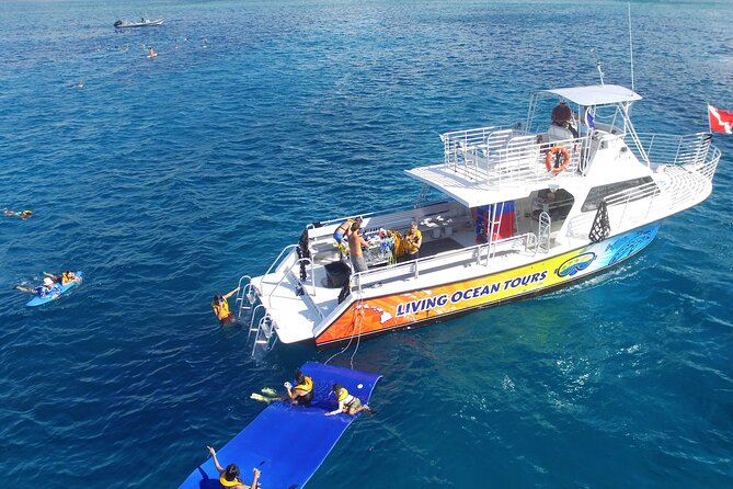 Waikiki, Hawaii: Turtle Canyon Snorkel Excursion - Turtle Canyon and the search for sea turtles