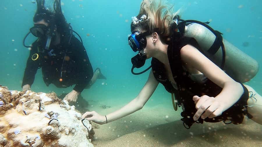 Waikiki: Honolulu Beginner Scuba Diving with Videos - Why Magic Island Lagoon works for a first scuba lesson