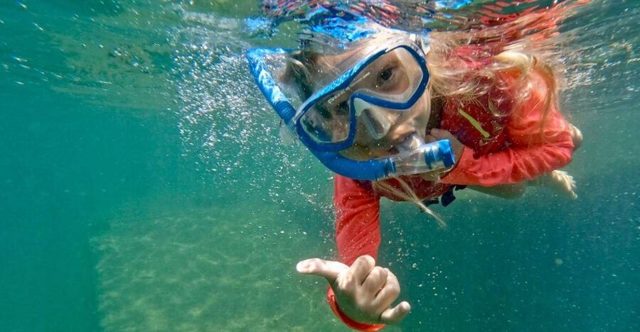 Waikiki: Honolulu Beginner Snorkeling Tour with Videos - Key points to know before you book