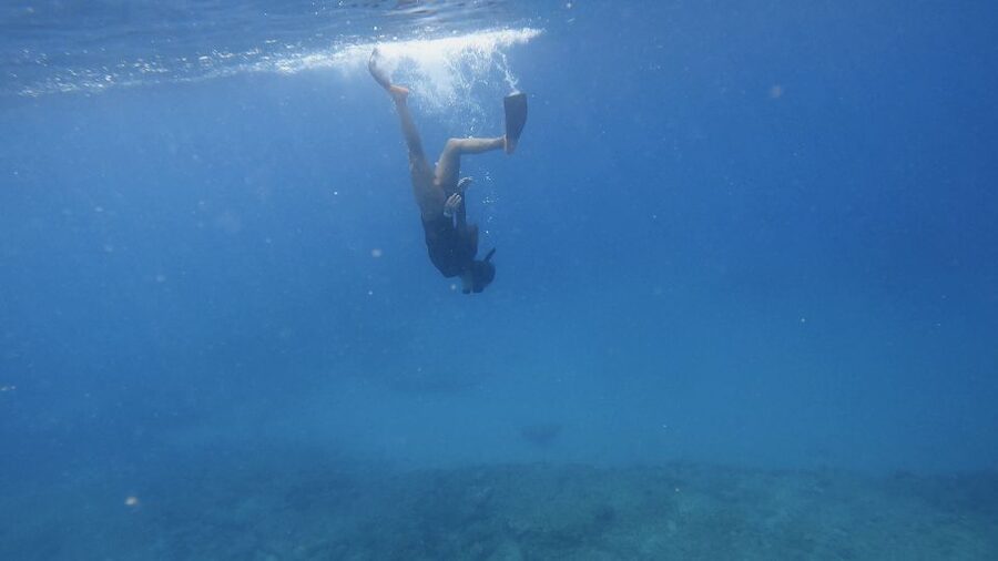 Waikiki: Honolulu Beginner Snorkeling Tour with Videos - Why Magic Island Lagoon works for first-timers