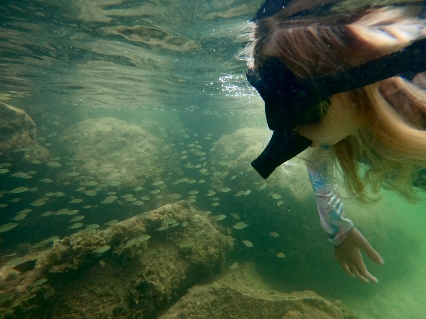 Waikiki: Honolulu Beginner Snorkeling Tour with Videos - The included videos are a real value