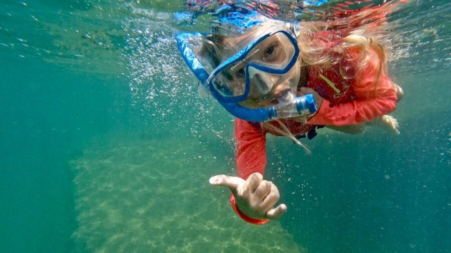 Waikiki: Honolulu Beginner Snorkeling Tour with Videos - Practical tips for a smoother morning
