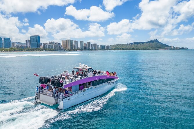 Waikiki, Oahu 2-Hour Whale Watching: Guaranteed Sightings - A two-hour search for Hawaii’s winter whales
