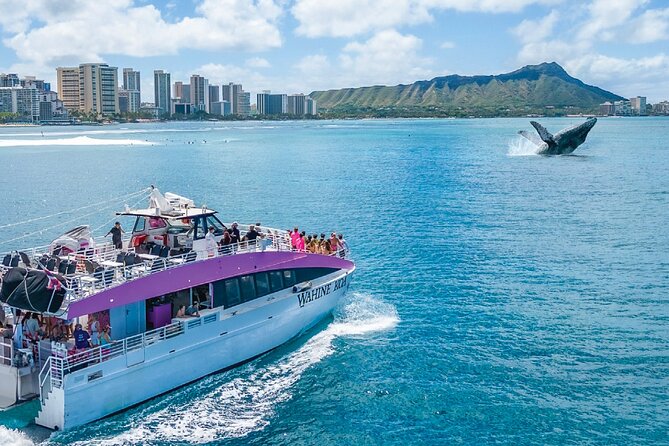 Waikiki, Oahu 2-Hour Whale Watching: Guaranteed Sightings - Captain Jamie, Alex, Peter, Tyler, Ryan, and the onboard commentary
