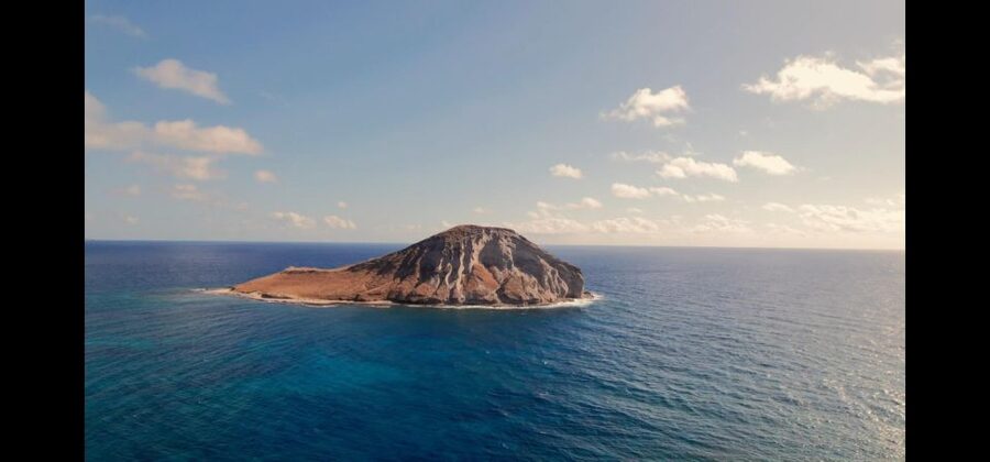 Waikiki: Oahu In a Day Circle Island Tour - North Shore food and the road to Haleiwa
