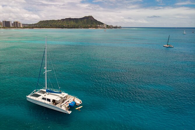 Waikiki Panorama Sail: Search for Hawaiian Sea Turtles - Looking for turtles and other sea life