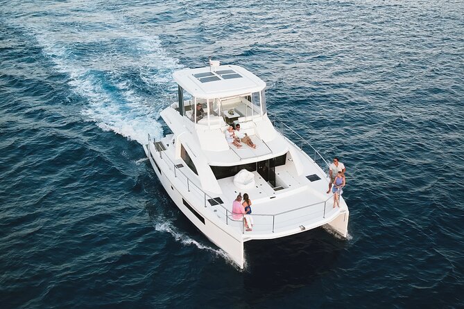 Waikiki's Premier Small Group Sunset Yacht + Tasting - Watching for Hawaiian wildlife
