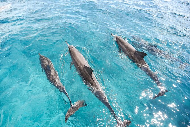 Waikiki's Premier Small Group Sunset Yacht + Tasting - Reaching sunset over the Pacific