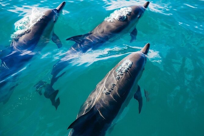 Waikiki Sail and Snorkel Adventure Best of Hawaii 2023 - What the Three-Hour Schedule Means