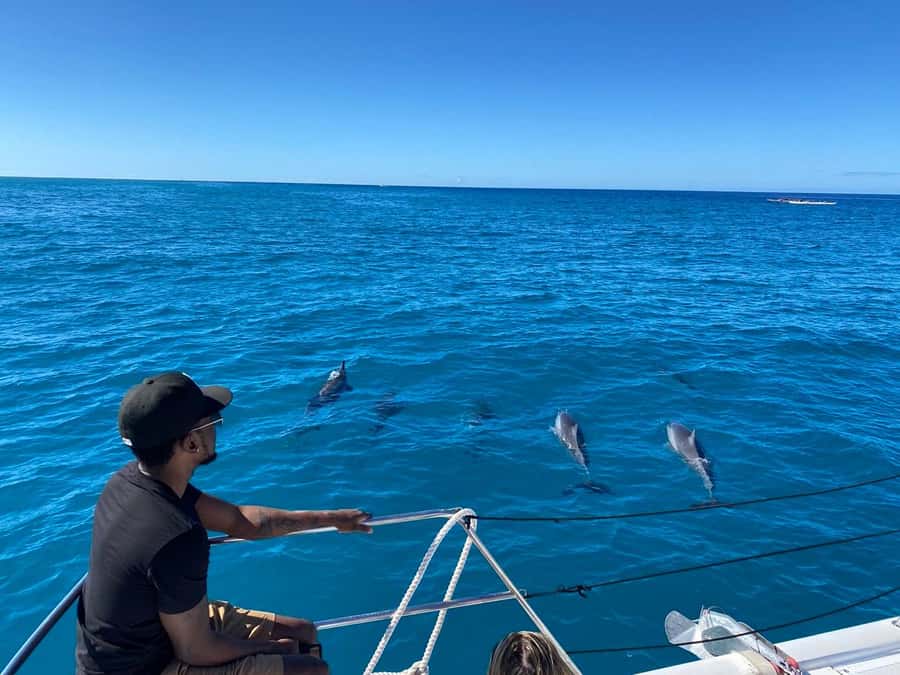 Waikiki: Sea Turtle Snorkeling, Small Group Boat Tour - What makes Turtle Canyon special