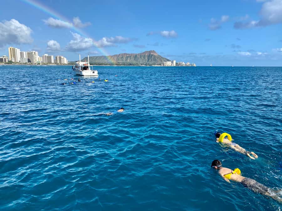 Waikiki: Sea Turtle Snorkeling, Small Group Boat Tour - A guide-led hour in the water