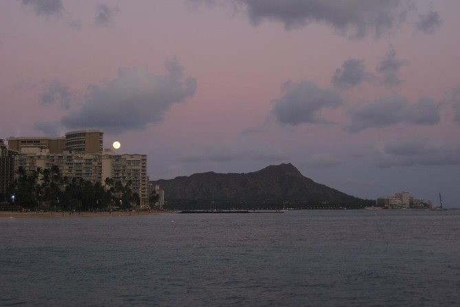 Waikiki Signature Sunset Catamaran Sail - Wildlife along the Waikiki coast