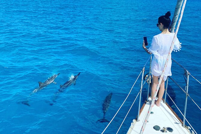 Waikiki small group turtle snorkeling & sailing - Leaving Hawaii Yacht Club at 7 a.m.