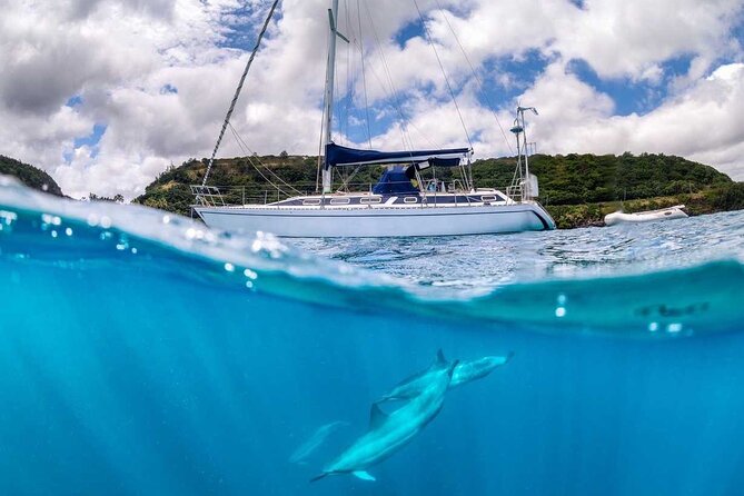 Waikiki small group turtle snorkeling & sailing - Fish, cleaning stations, and time in the water