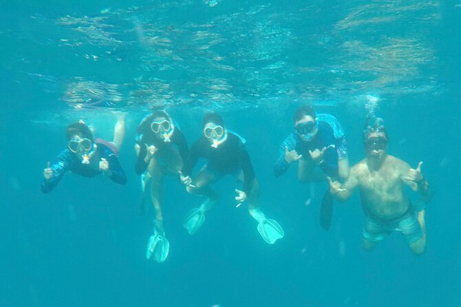 Waikiki small group turtle snorkeling & sailing - What is included, and what you should bring