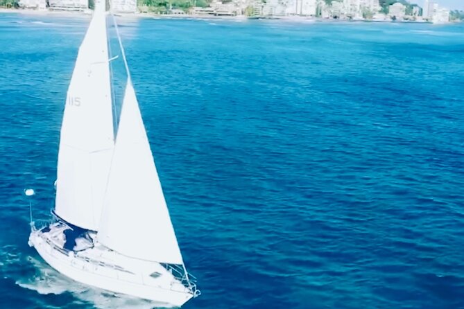 Waikiki small group turtle snorkeling & sailing - Is $99 a fair price for two hours?