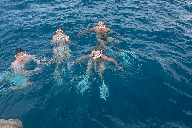 Waikiki small group turtle snorkeling & sailing - Who should book this Turtle Canyon trip?