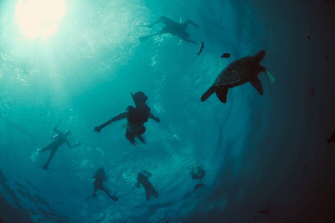Waikiki Snorkel Tour - From Ala Moana Harbor to Waikiki’s turtle waters