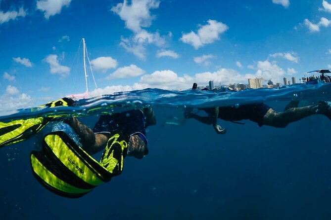 Waikiki Snorkel Tour - Who should book this two-hour outing